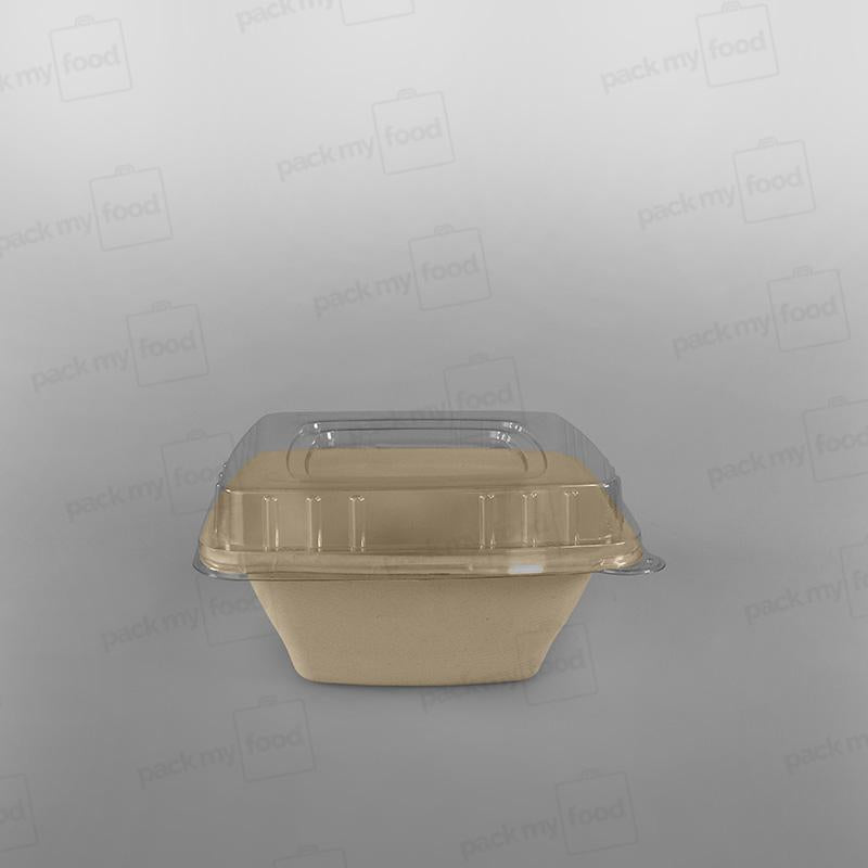 Compostable Sugarcane Pulp Square Bowls