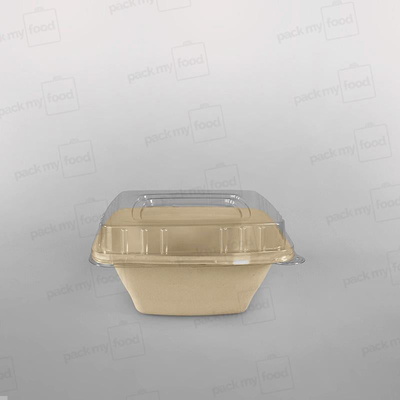 Compostable Sugarcane Pulp Square Bowls