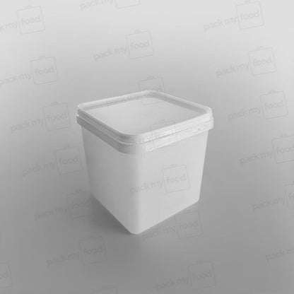 Bulk Storage Container With Lids
