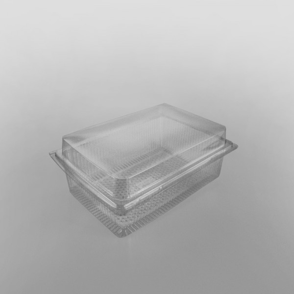 GPI Traitipack Clear Hinged XL Rectangular Bakery Container [3400cc]