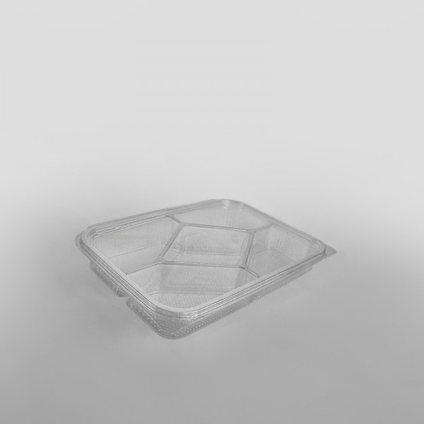 Somoplast 5 Compartment Clear Hinged Rectangular Container