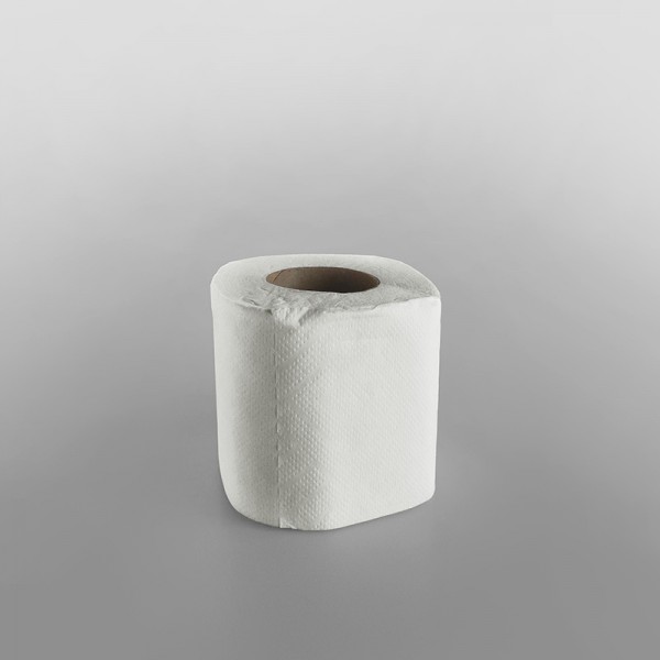 Toilet Paper Roll 2ply [200 Sheets][105x95mm]