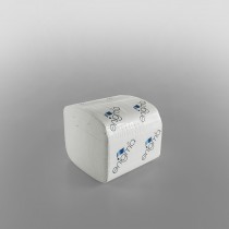 Bulk Pack Toilet Paper 2ply [102x200mm]
