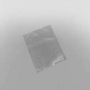 Clear Polythene Bag 100G