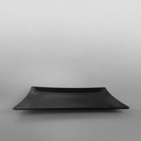 Plastic Rectangular Presentation Trays Black